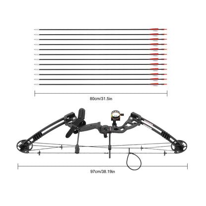 Compound Bow and Arrow Set Archery 30-55lbs Adjustable Right Hand 70% Let-off Adult Outdoor Shooting Hunting Bow